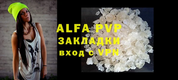 индика Белокуриха