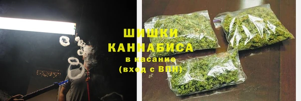 индика Белокуриха