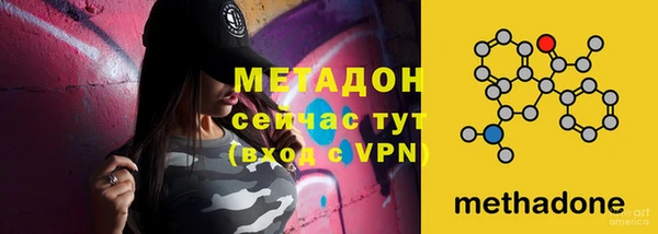 индика Белокуриха