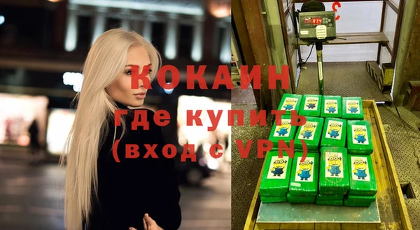 индика Белокуриха
